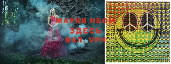дмт Белокуриха