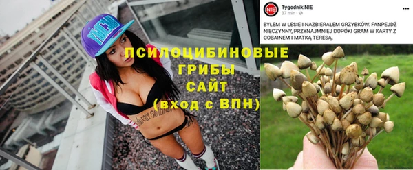 дмт Белокуриха