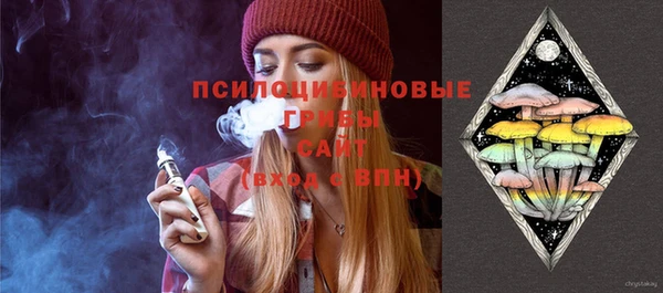 дмт Белокуриха