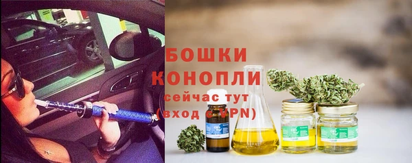 дмт Белокуриха