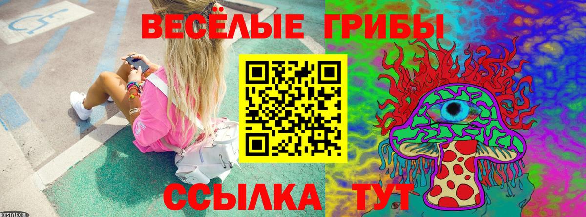 Галлюциногенные грибы Cubensis  Вход с VPN  Горно-Алтайск  наркота  Псилоцибиновые грибы Cubensis 